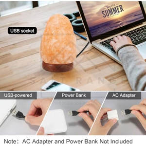 Lampe en sel de l'Himalaya sculptée au prix imbattable, décoration d'intérieur tendance avec un design personnalisable et de haute qualité - Product Image 5