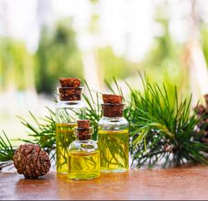 Aceite Esencial de Abeto Puro Destilado al Vapor, Aceite Aromático de Picea Abies para Aromaterapia, Cuidado de la Piel y Fabricación de Jabón, Proveedor Mayorista a Granel - Product Image 1