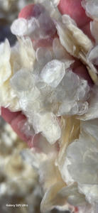 Escamas de pescado crudo al por mayor/Escamas de pescado seco de tilapia desmineralizadas ESCALA DE PESCADO OSSEIN/Sra. Hani Tran - Product Image 6