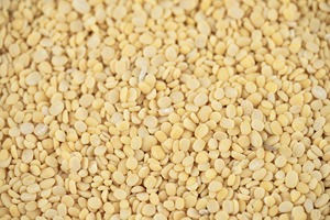 Urad Dal Noir (Vigna Mungo) de Qualité Export Premium, Riche en Protéines, Nettoyé à la Machine, Emballage en Vrac, Naturel Pur, Durée de Conservation de 12 Mois - Product Image 2