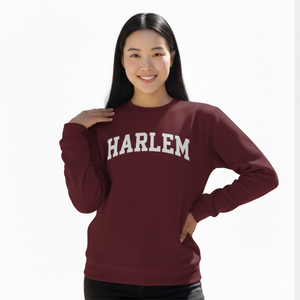 Sweat-shirt à col montant personnalisé, pull tricoté, sweat-shirt en molleton réversible à col montant, motif lettre brodé, décontracté - Product Image 1