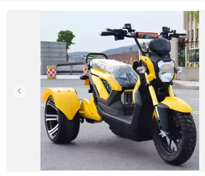 Ready to ship New Adults 60V/50Ah 1000W Fashion Removable Battery Powerful Three Wheel 3- Wheel Electric <b>Tricycle</b> - Product Image 4