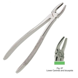 Fórceps de extracción de dientes manuales, instrumento dental para extraer fórceps, caninos inferiores y bicúspides, patrón en inglés - Product Image 1