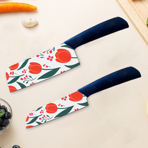 Novedades, Juego de Cuchillos para Carne de Plástico con Hoja de Cerámica Personalizada, Vajilla de Lujo, Servicio de Restaurante de Alta Cocina, Precio de Fábrica - Product Image 3