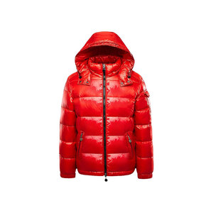 Chaqueta de Burbujas Reflectante de Alta Calidad, Impermeable, Lisa, con Logotipo Personalizado Impreso para Hombre - Product Image 2