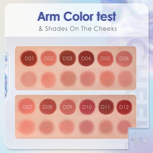 FOCALLURE FA266 fard à joues mat velouté et teinte pour les lèvres maquillage brillant à lèvres crème teinte pour les lèvres tache - Product Image 6