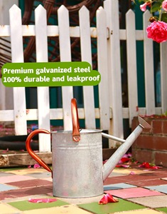 Arrosoir en métal élégant à poignée incurvée avec finition en zinc antique idéal pour une utilisation dans le jardin domestique et un affichage décoratif - Product Image 6