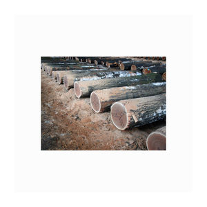 ม้วนเส้นใยมะพร้าวแท้มีทุกขนาด - Product Image 3