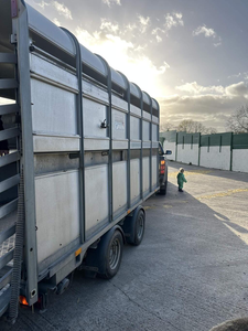 Remolque Agrícola Nuevo y Económico de Alta Calidad, Remolque para Tractor de Uso Pesado para Transportar Cultivos, Ganado y Maquinaria, Diseñado para Resistir - Product Image 4