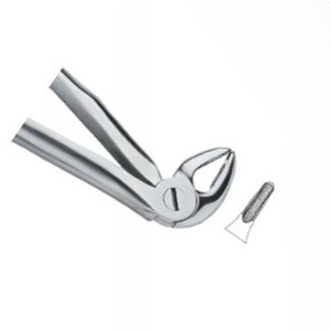 Forceps d'extraction dentaire Fig.33 Diam, manuel, en acier inoxydable de haute qualité, instruments dentaires avec logo personnalisé - Product Image 4