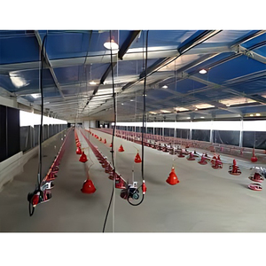 Gà nhà thép lớn gà <span class=keywords><strong>Barn</strong></span> pultry nhà 500x40 ft Gà Nuôi kế hoạch kinh doanh - Product Image 5