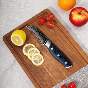 Couteau de chef en acier Damas de haute qualité à 67 couches, fait à la main, extra-affûté, compatible lave-vaisselle, pour pique-nique, épluchage de fruits, manche G10 - Product Image 5