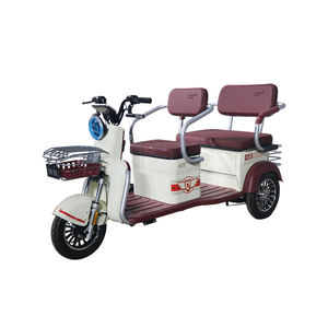 QSD高品质1000瓦锂电池48V 60v电压120ah 200ah电动人力车低成本电动人力车中国制造 - Product Image 4