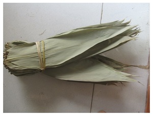 Feuille de bambou séchée au soleil naturelle 100% pour la fabrication de gâteau Prix compétitif Feuilles de bambou séchées de grande taille du Vietnam - Product Image 2