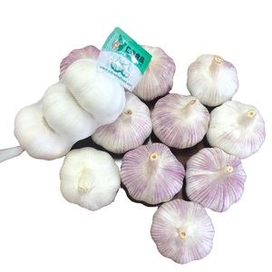 Ajo normal blanco puro y fresco de alta calidad, ajo blanco fresco de 6,0 cm, venta al por mayor, ajo de cartón de 10kg a la venta - Product Image 1