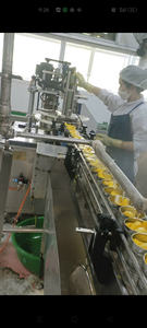 Delicioso mango en conserva en almíbar/ Frutas en conserva en almíbar/ Frutas/ Vincent +84 987 3366 14 - Product Image 6