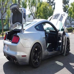 Entrega Rápida de la Ford Mustang Shelby GT350R 2020 - Product Image 2