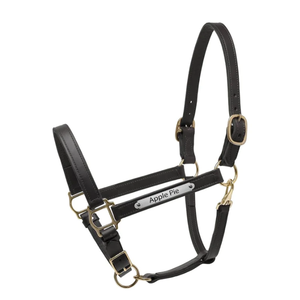 Eluxe-Cuerda de nudo para caballos con plomo doblado, 4 halters - Product Image 1