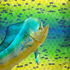 Venta al por mayor hombre de alta calidad Upf50 pesca Jersey manga larga Spandex transpirable pesca camisas de alta calidad - Product Image 3