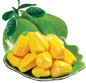 Venta al por mayor 100% Natural Premium Grade Jackfruit Snack crujiente y dulce Suministro a granel seco con proceso de secado Premium - Product Image 2