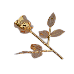 Natural Preserved <b>Rose</b> With Multi Color Design <b>Rose</b> 24k <b>Gold</b> Dipped <b>Rose</b> - Product Image 5
