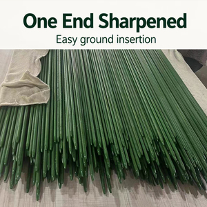 Piquets d'arbre flexibles en PRV (Plastique Renforcé) pour pépinière de tomates, haute résistance, légers, en plastique renforcé - Product Image 4