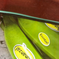 Groothandelsprijs Bananen Gedroogd/Gevriesdroogd/Fris Fruit uit de Mekong Delta GRATIS STALEN MOQ 100-1/TON