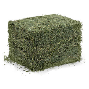 El mejor alimento de heno de alfalfa para caballos y cerdos de calidad premium a la venta - Product Image 1