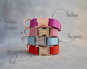 Webbing Dog Collar with Tribal Engraving, 1" Custom Fit for Boys & Girls - Product Image 2