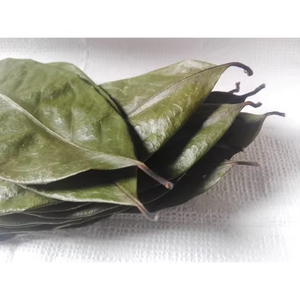 100% HOJAS DE URENTA PURE ORGÁNICO SECAS // SIN PESCADOS - Product Image 4