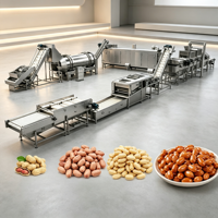Ligne de traitement automatique des cacahuètes pour la production de snacks de cacahuètes grillées