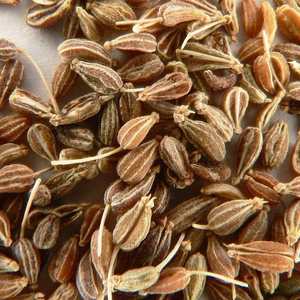 Graines d'anis de qualité supérieure, 100 % naturelles et aromatiques, prix bas, épices brutes séchées en tranches, biologiques, Belgique - Product Image 2