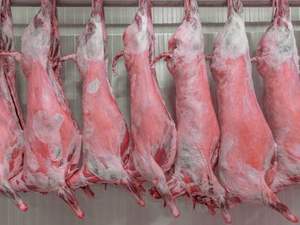 Transporte de Llamas, Músculo, Carne - Product Image 3