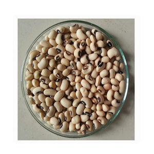 Haricots noirs à vendre - Product Image 5