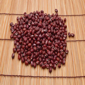 Venta de hoy de frijoles negros, sabrosos alimentos veganos secos crudos envasados en proteínas, frijoles rojos envasados a granel, proceso de secado Natural - Product Image 2