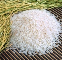 Self heating hot meal MRE instant rice Food and beverage meal Ready to eat rice Portable self heating food