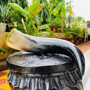 Support de klaxon naturel personnalisé klaxon à boire Viking écologique design nautique animal élégant meilleure qualité pour la maison poli - Product Image 2