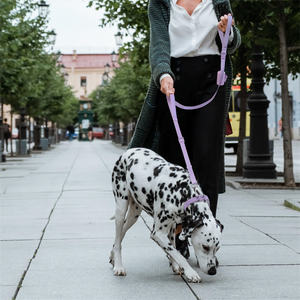 Correa para perro de neopreno resistente con logotipo personalizado con <span class=keywords><strong>2</strong></span> asas, correa para perro con doble ASA, doble ASA - Product Image 6