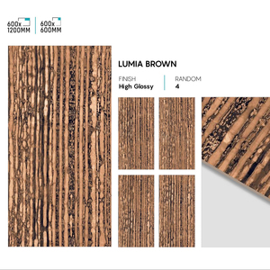 Azulejos de Porcelana de Alto Brillo de Lujo de 600x1200 mm, Acabado Pulido para Pisos y Paredes Elegantes - Product Image 1