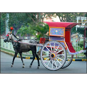 Nuevo Carruaje de Caballos Moderno Tipo Vis a Vis Limo para Bodas Indias - Product Image 5