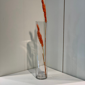 VCY0420 - Cylinder Glass <b>Vase</b> - 4 x 20 - Product Image 3