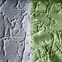 Peinture acrylique de haute qualité pour meubles, revêtement liquide d'intérieur à dispersion, vert chaux, écologique, lavable, sans solvant, lisse