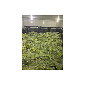 Purée d'avocat congelée sans ingrédients artificiels provenant du Vietnam et offerte en vrac pour les marques de smoothie - Product Image 4