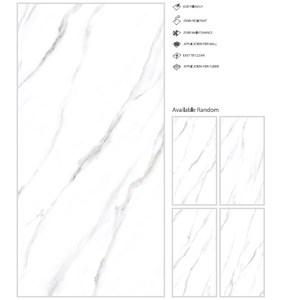 Gạch Sứ Được Đánh Bóng Sàn Màu Trắng <span class=keywords><strong>Alaska</strong></span> Gạch Vitrified Quantum 60X120 Bề Mặt Bóng Cho Sàn Khách Sạn Của Novac - Product Image 4