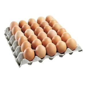Huevos para incubar Ross 308 y Cobb 500 y huevos de mesa de pollo frescos - Product Image 1