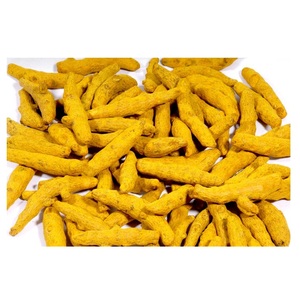 "Dedos de cúrcuma de primera calidad a la venta a precios económicos Pedidos al por mayor disponibles para compradores al por mayor" - Product Image 1