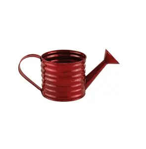 Handle Design Vegetable Plant Watering Can Garden Plastic water pot Galvanized Metal Watering Cans Long Spout Garden Water Cans