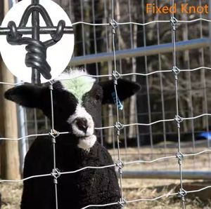 Treillis métallique en fer galvanisé en forme de trou carré personnalisé pour fermes de poulets cages à volaille panneaux de soudage de bétail nouvelle vente - Product Image 4