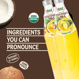 Leche de coco Fresa 480 ML 16,2 floz Bebida 24 latas Lata de cartón Sin azúcar añadido No GMO OEM Etiqueta privada Muestra gratis - Product Image 5