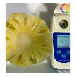 Whole Frozen MD2 <b>Pineapple</b>, IQF Frozen <b>Pineapple</b> Chunks, Frozen <b>Pineapple</b> Tidbits, Dices, Sliced <b>Pineapple</b> With Best Price - Product Image 4